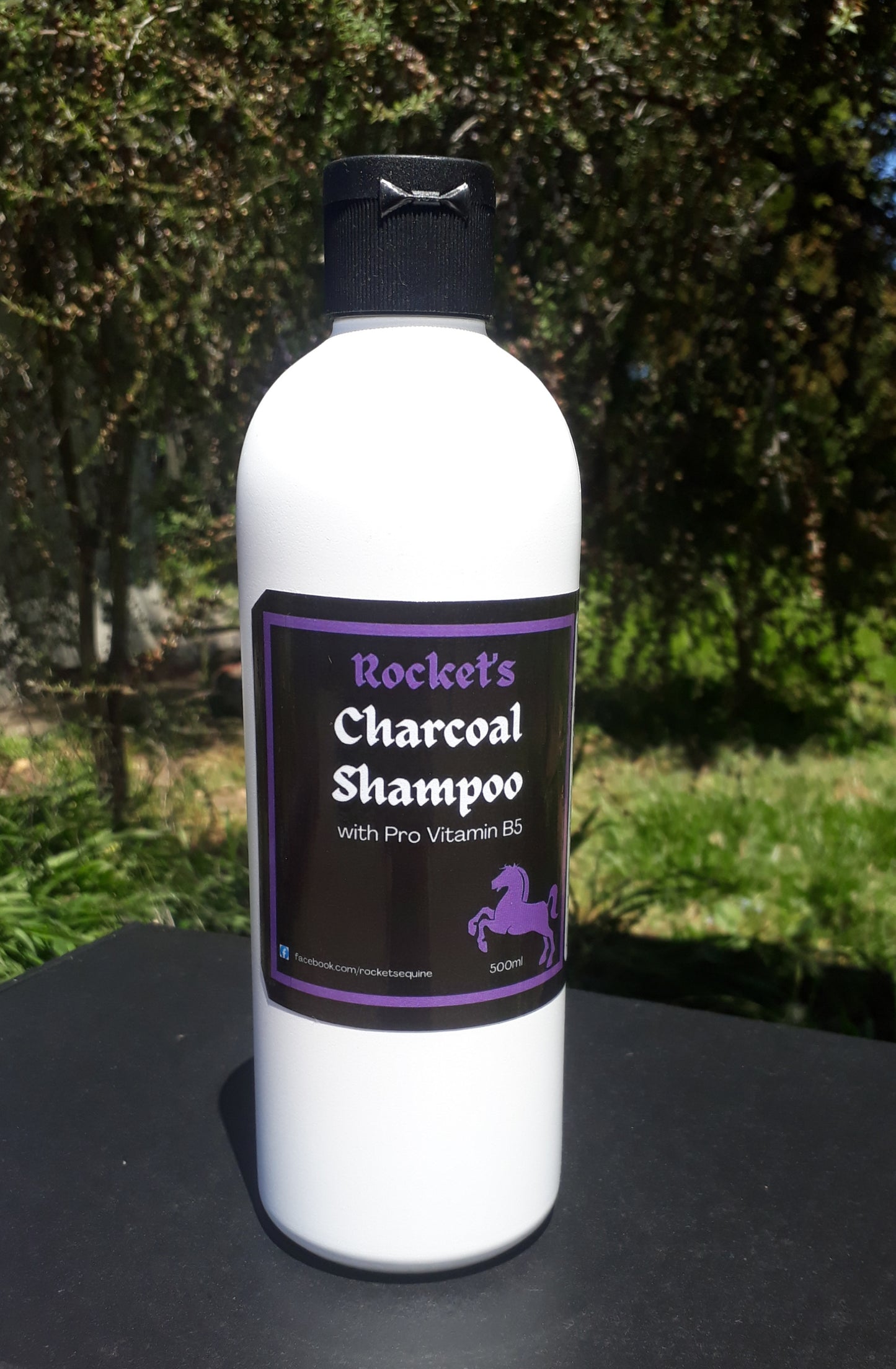 ACTIVATED CHARCOAL SHAMPOO
