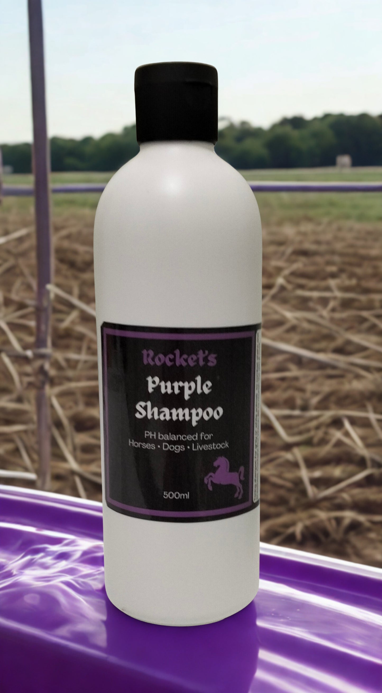 PURPLE SHAMPOO