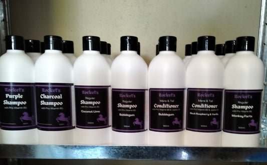 Shampoo & Conditioner