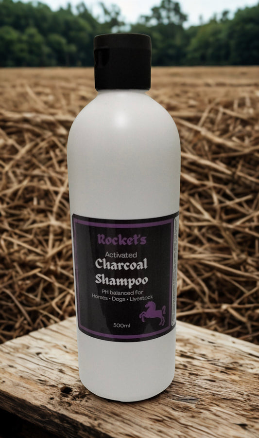 ACTIVATED CHARCOAL SHAMPOO